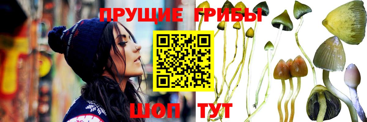 Реж  Псилоцибиновые грибы Magic Shrooms  Вход с VPN 